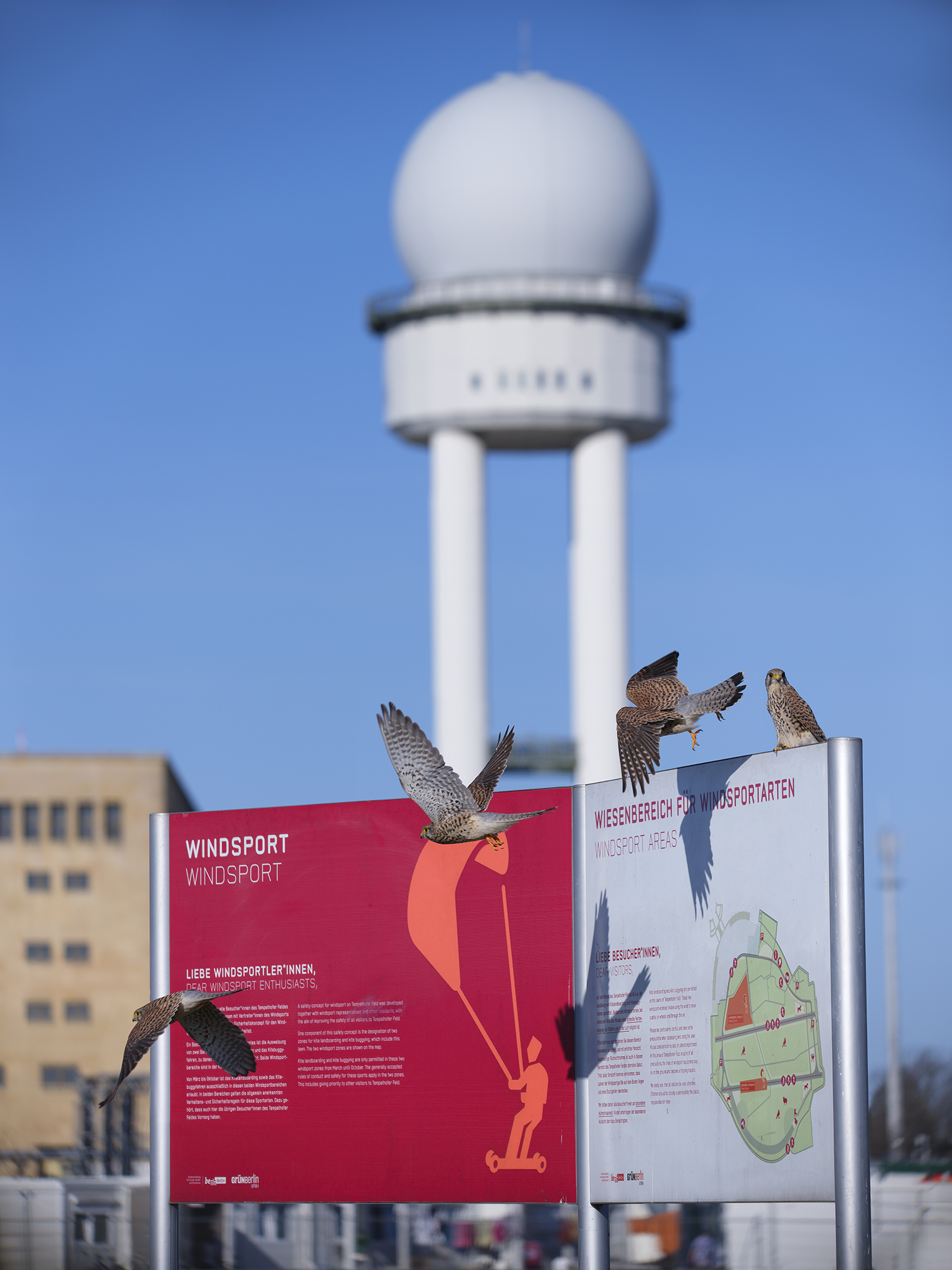 Windsport par excellence